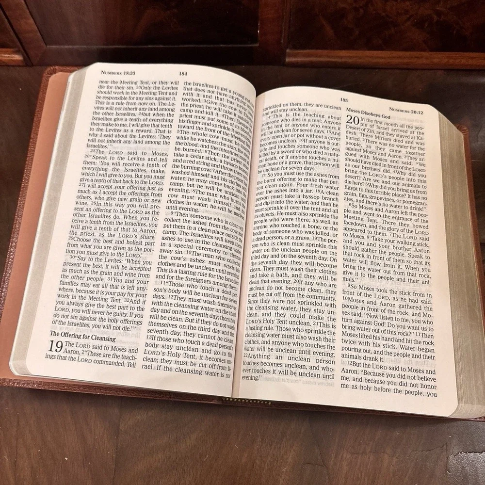 NCV Giant Print Holy Bible New Century Version Brown Leather Thomas Nelson 2007